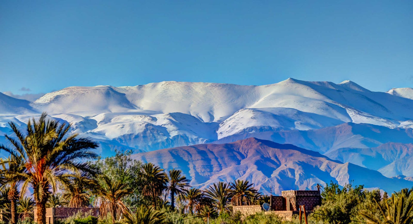 Nature Walks in the Atlas Mountains